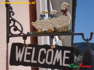 DSC01893